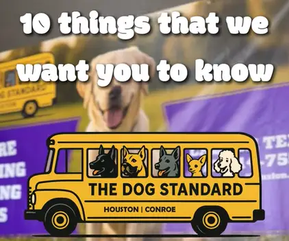 Our Philosophy